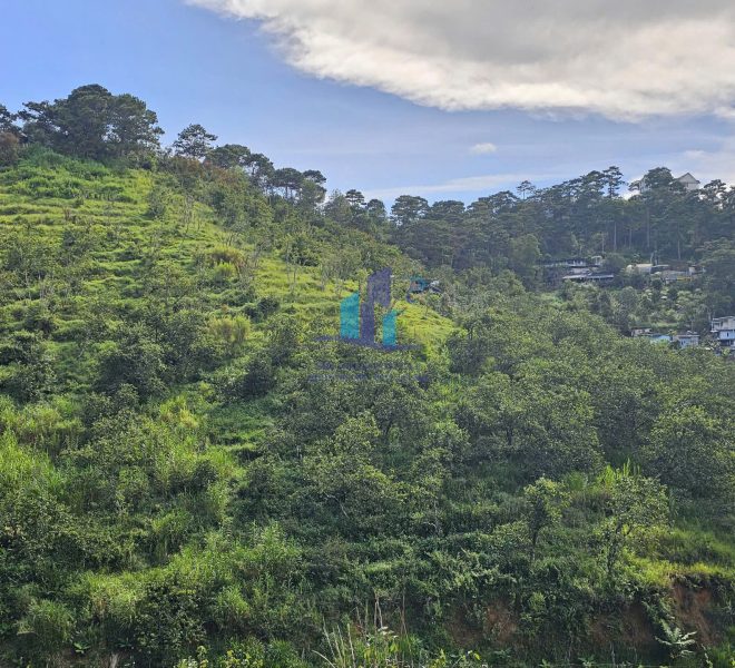 z5727411499615_d39cbab3f73dc7a7d0c83f3a82e91116