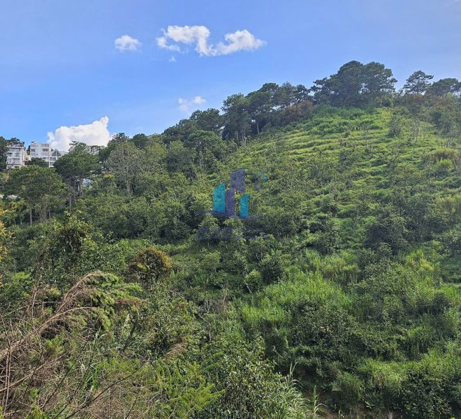 z5727411574873_550dea289d913abdc5b56160ba97c718