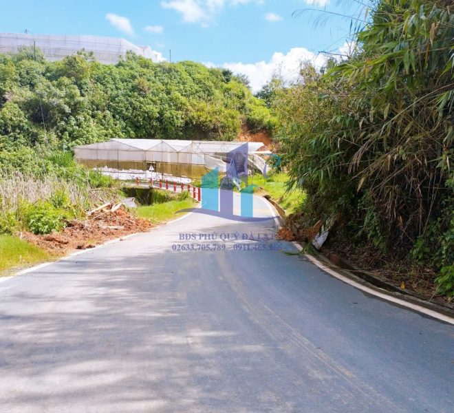 z5734034144476_17569457c93d70d70edeb226bad7c514