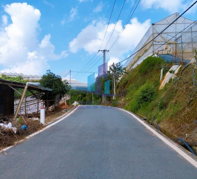 z5734034182225_64a824664984b87b9272c4e177277131