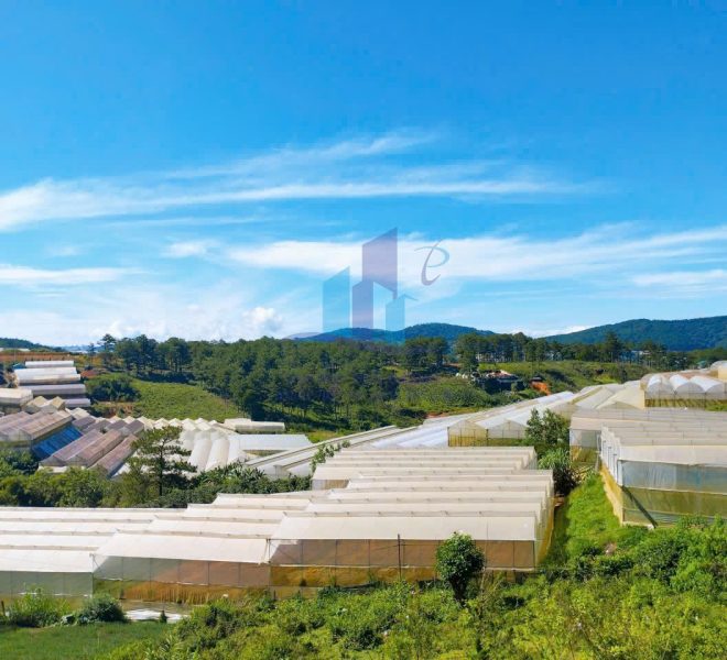 z5772192219512_fc34ba8ee0059249510ca4cd85aa8124