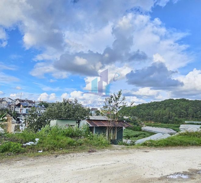 z5775675615756_e0a3795d0d84df0ea56fd0ee3e947f4d