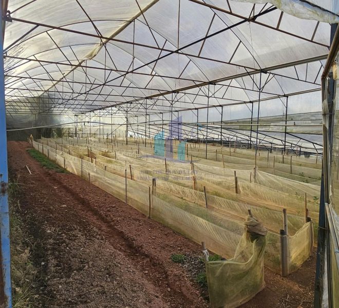 z5775675637496_8df97df80bc6c775bf5c876a55517ab4