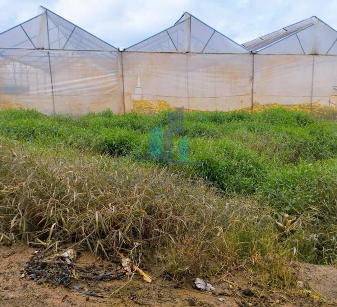 z5785481569934_17143d26340c494eecec74db729985e2