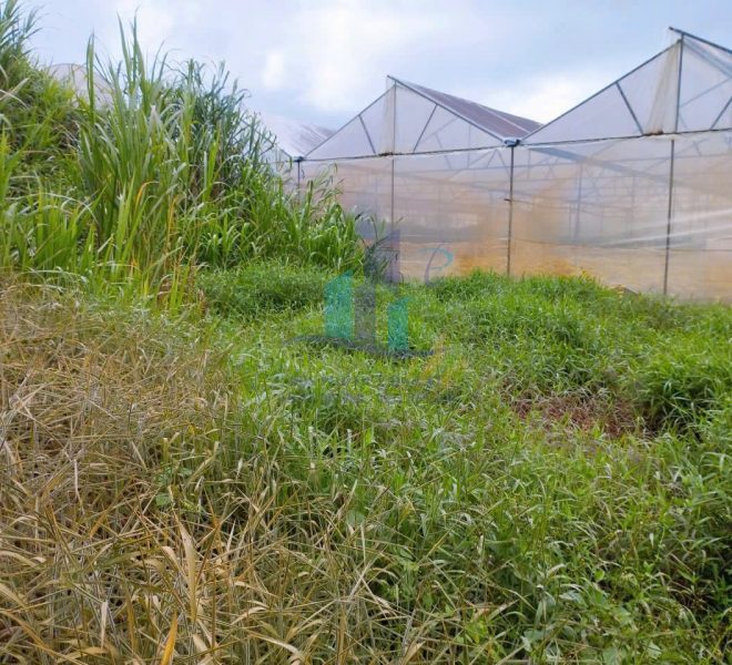 z5785481665792_f0d2f399220782947d7630bcecb4a809