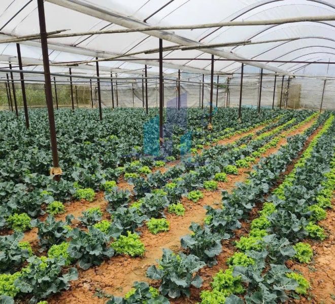 z5785483705265_94d1d447c0283dffe2ee754cbd964417