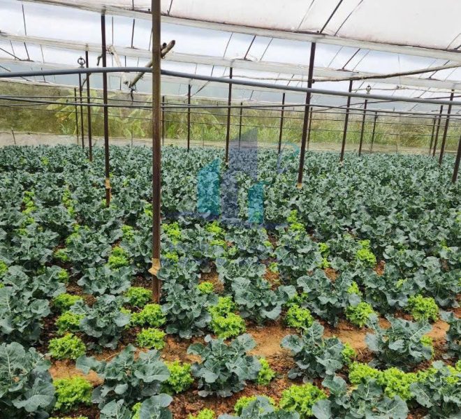 z5785483705319_cb70e87fc420e72db769ed4b6794c049