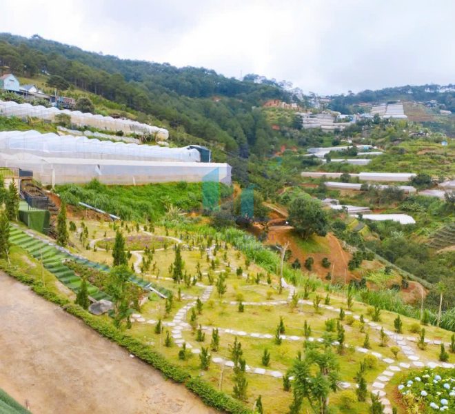 z5806922334114_d23dfb368c92b34d0f36089e26240535