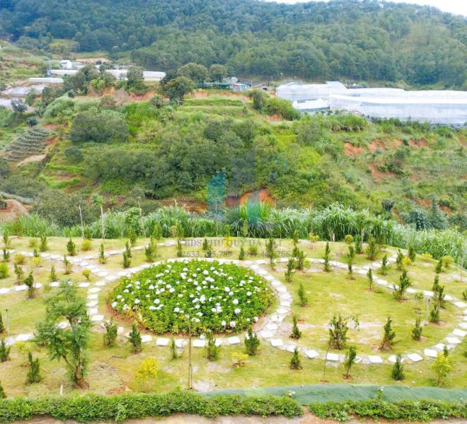 z5806922578939_708b68d76ea777f6cad2dfbc1ade4c72