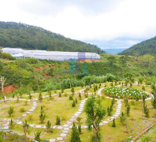 z5806922609989_95a6967b306826bf6e3cfaf144c51f33