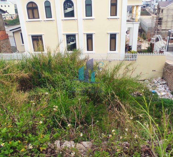 z3245128048912_84190efc394f1a8a181f35aa45ae56f4