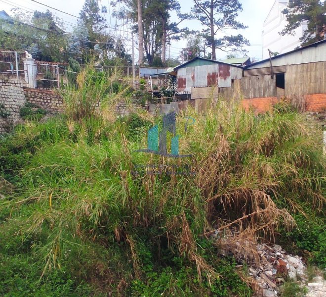 z3245128319523_3f5807c25682c579280dcd5af0e0394b