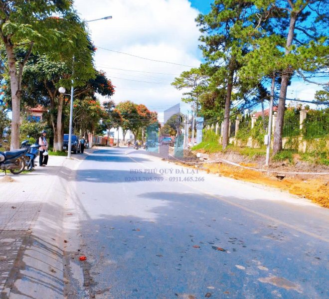 z5916192961678_5f02ff891f6ae7d63a37f28a4f45ae37