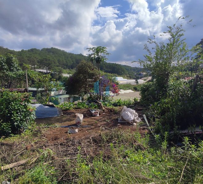 z6015561716176_bd8ba34732f1341178c2c2bd685e0019