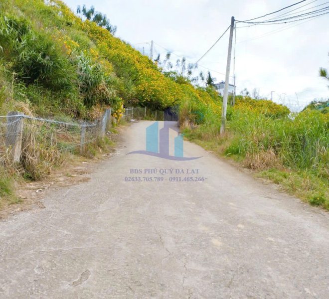 z6025185919031_73ee3370db85ac4365e0c0d7c506de74