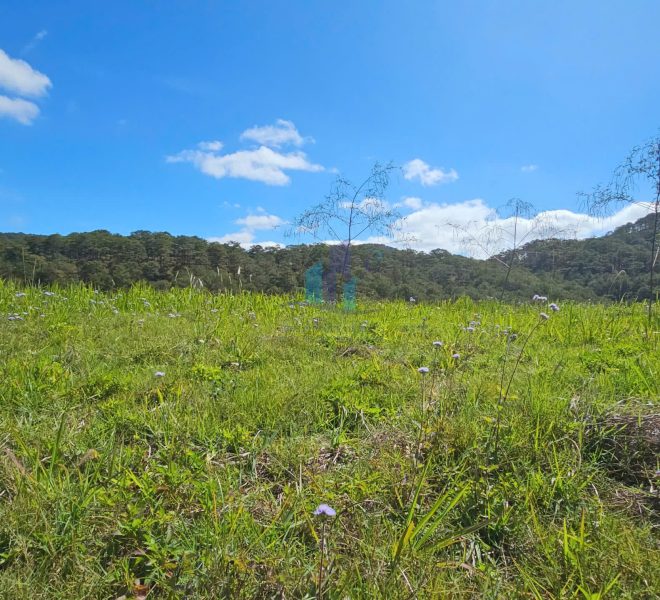 z6329358013594_ba82b35bf4085106aa40946d3206ab42