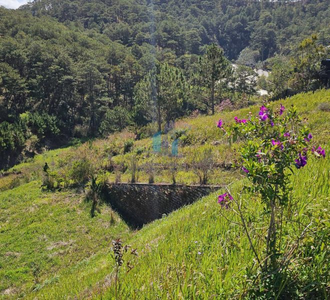 z6329358232721_2d0a8c864bc7bfb26433c56df63fbe3e