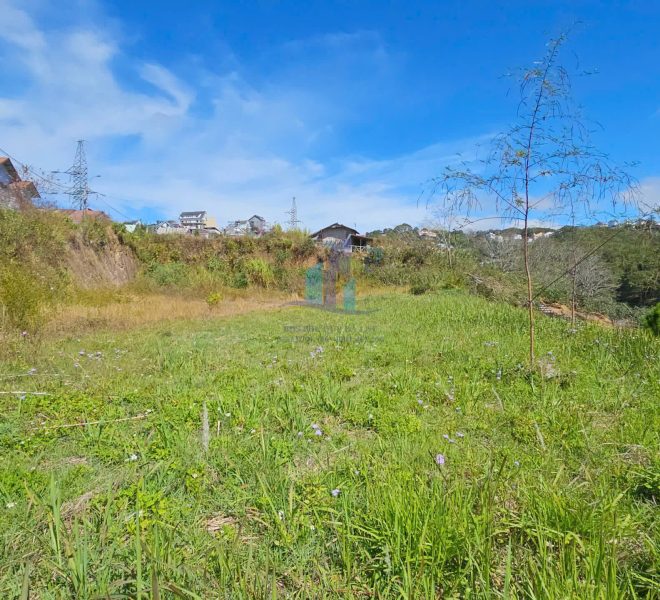 z6329358731666_ad1b8e76a54b1f504a69a2175b8501b1