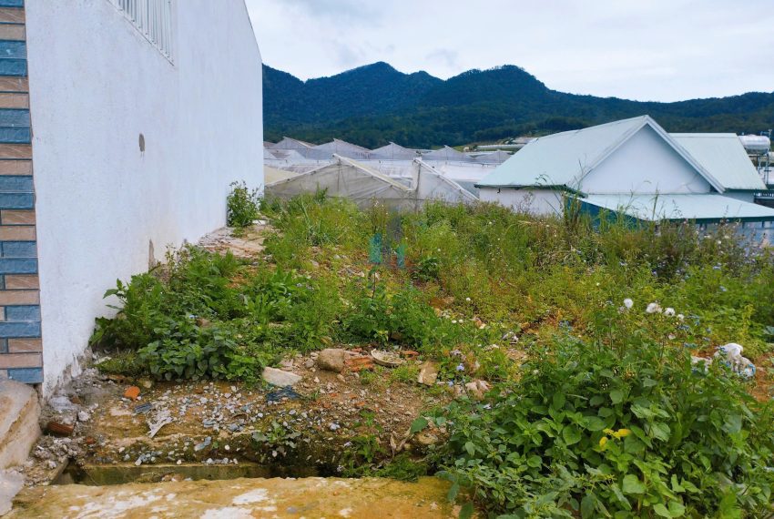 z7167954335774_f0b74751f123ddcb0a9af575fd140bad