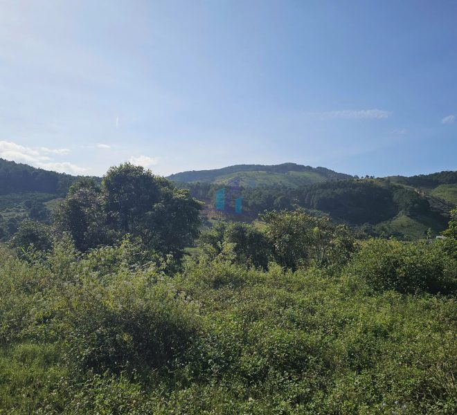 z7264883632002_cfd08c5122721c4eac429eb34983a231