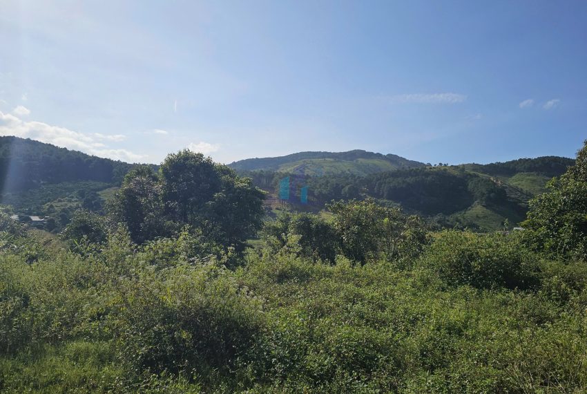 z7264883632002_cfd08c5122721c4eac429eb34983a231