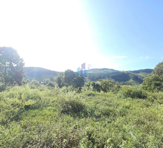 z7264883712823_5060861643df4e780eb61213dcbe5fea