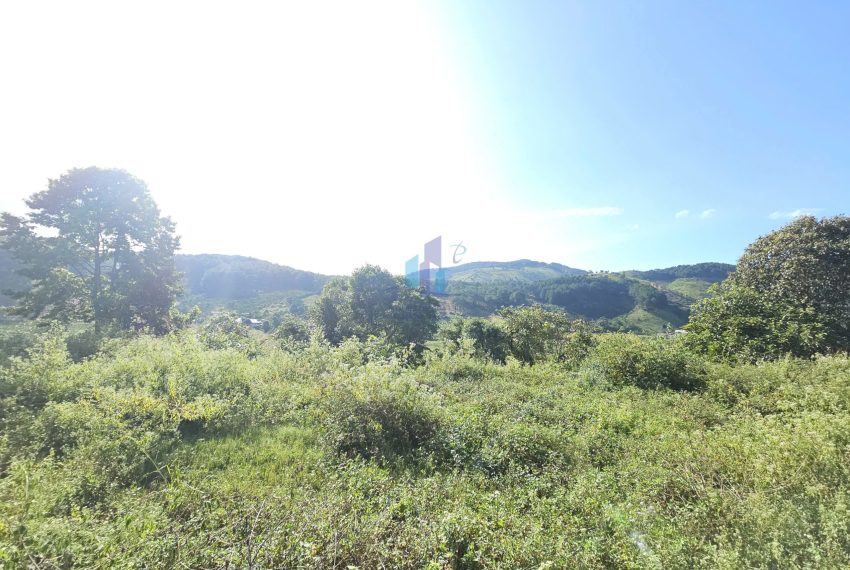 z7264883712823_5060861643df4e780eb61213dcbe5fea