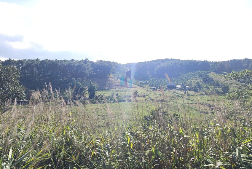 z7264883980497_25a719b1a230c49950cfdaf8eac460a4