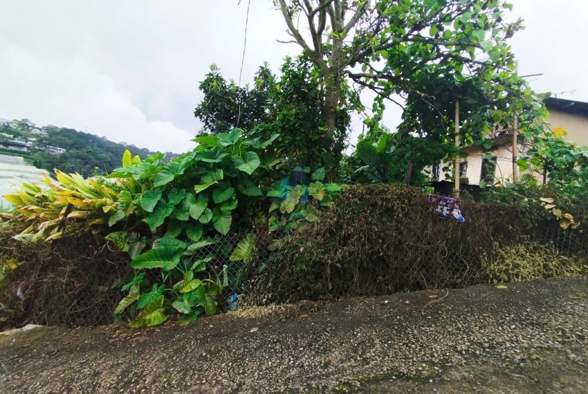 z7175161130604_d906e24d392da047d0ca38ab0ad67311