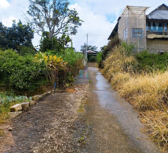 z7175161433507_0ac7cfbe29ac6d30d433c358ecc02ad4