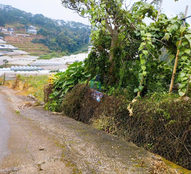 z7175161519054_c440906d336c7be34a50f1e456c99939