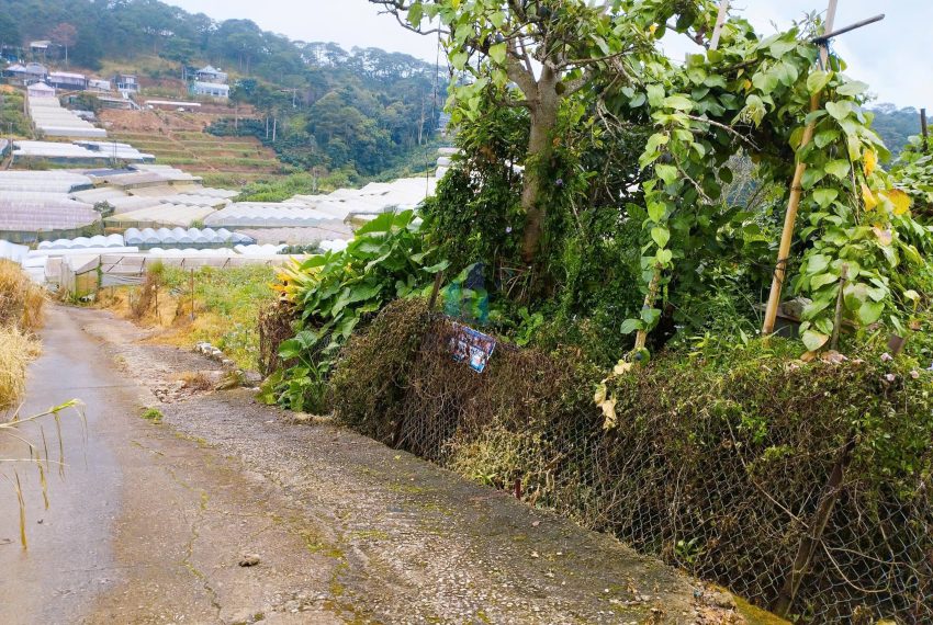 z7175161519054_c440906d336c7be34a50f1e456c99939