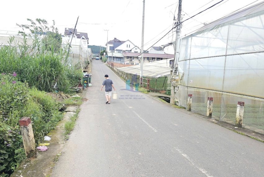 z7188436403955_43162acbf6c22dc1276a4b8474ca3912