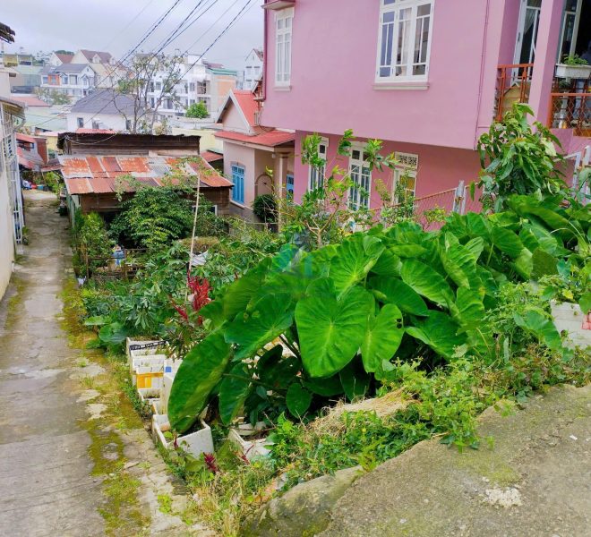 z7261361360334_a42f9015074b6da56d193daa8221fb0d