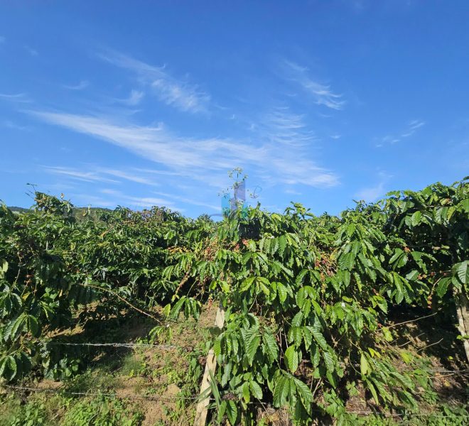 z7264897566944_7f9943b622dca21f4228187fd1bd44c5