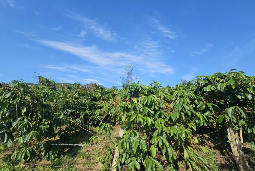 z7264897566944_7f9943b622dca21f4228187fd1bd44c5