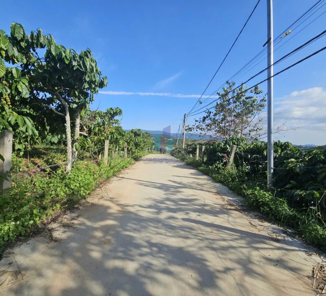 z7264897581141_d846293c089034ae492d65f4a5e58166