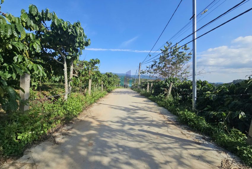 z7264897581141_d846293c089034ae492d65f4a5e58166