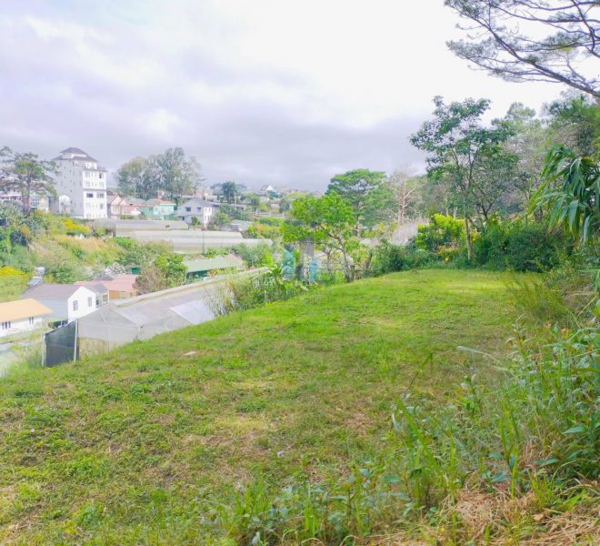 z7268351593203_d6f56f712b774ea42f8a4b40071ee5b0