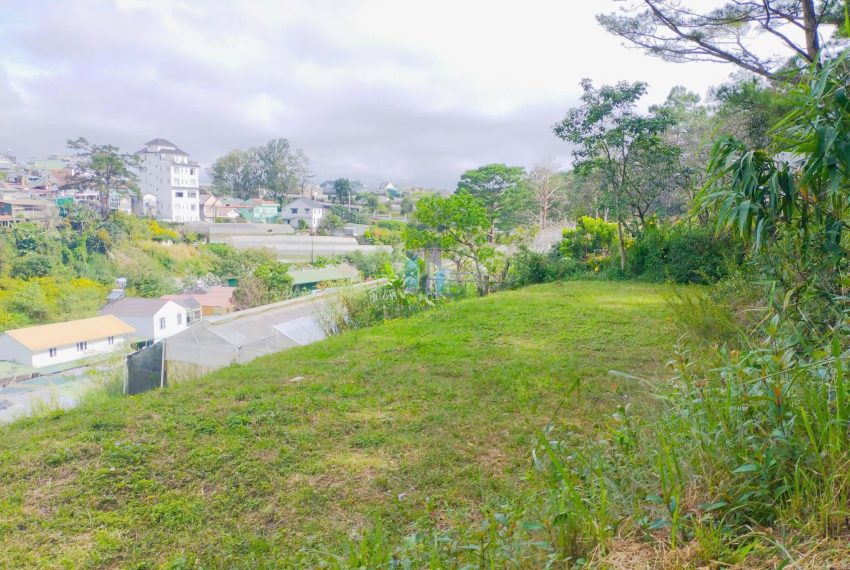 z7268351593203_d6f56f712b774ea42f8a4b40071ee5b0