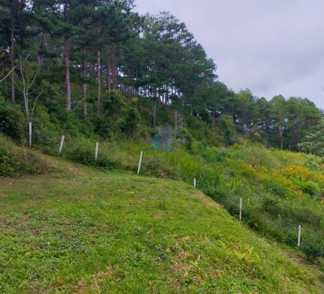 z7268351673314_3536e8eb3e6b1dfbfa0528e207f78f09