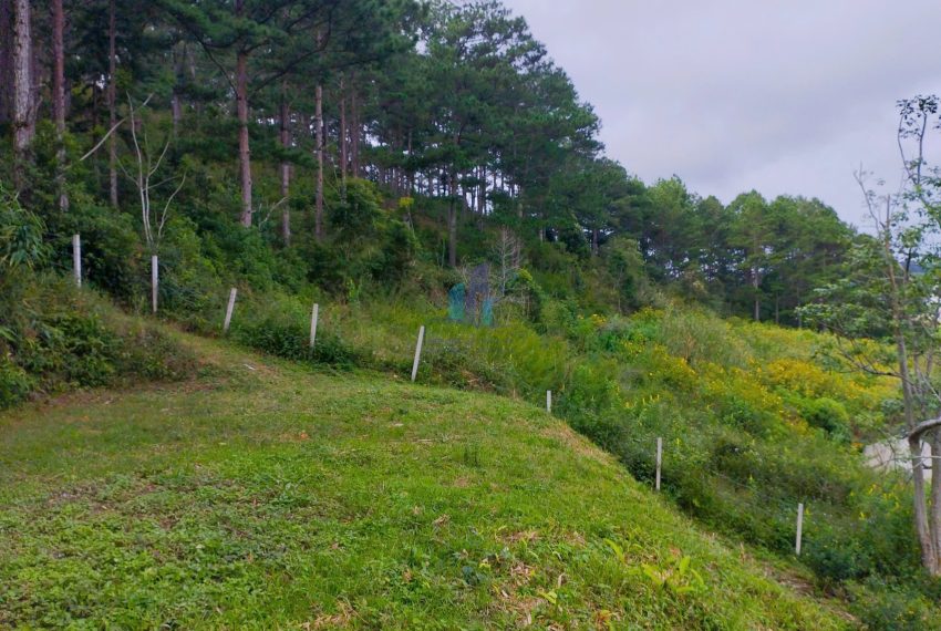 z7268351673314_3536e8eb3e6b1dfbfa0528e207f78f09