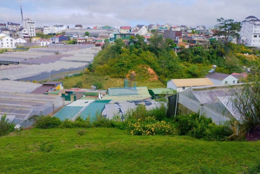 z7268352040194_167f4878895c566eda52029f1ce0a6a1