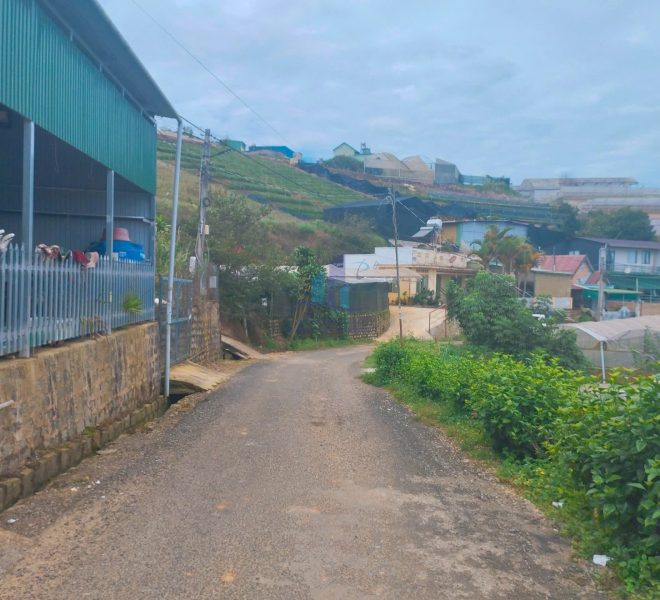 z7271880222274_b8fbf49ca76c91e0e6a1f1a261197c23