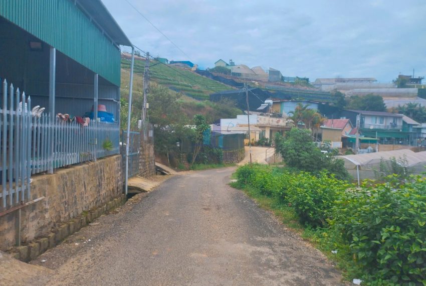 z7271880222274_b8fbf49ca76c91e0e6a1f1a261197c23