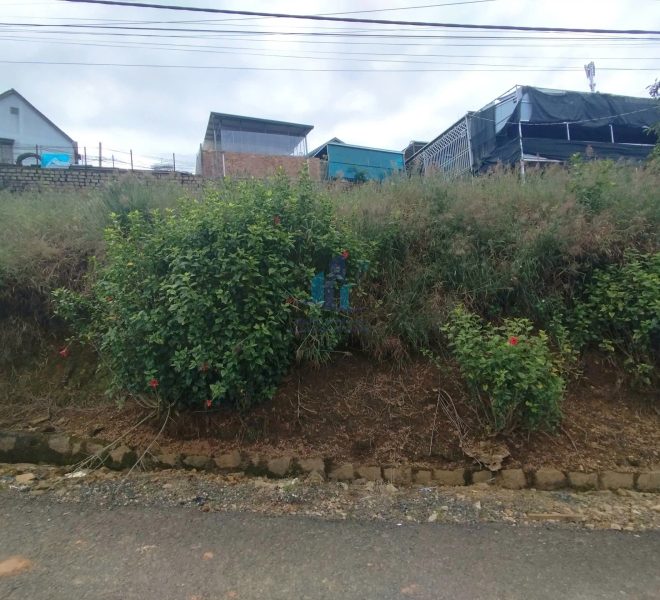 z7271880582774_2ddd2e2b9279d8342b21ddeecc59e8b6