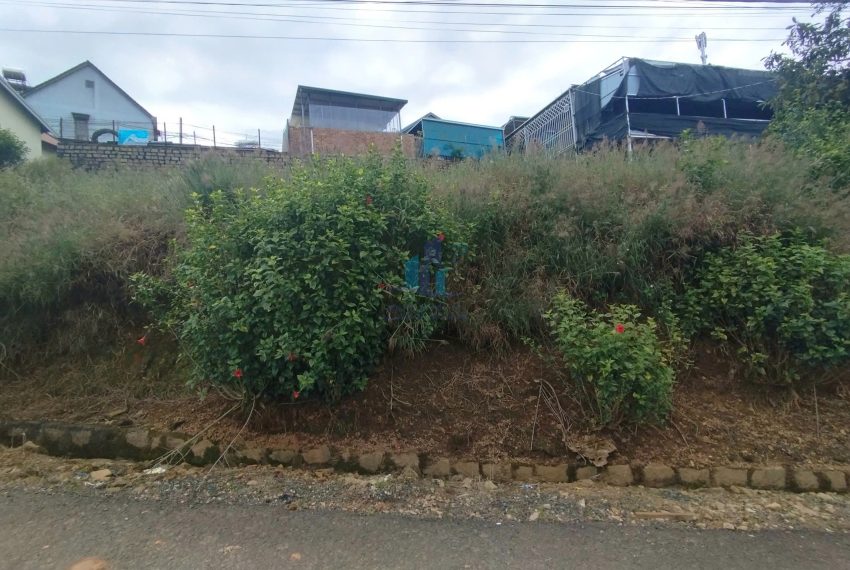 z7271880582774_2ddd2e2b9279d8342b21ddeecc59e8b6