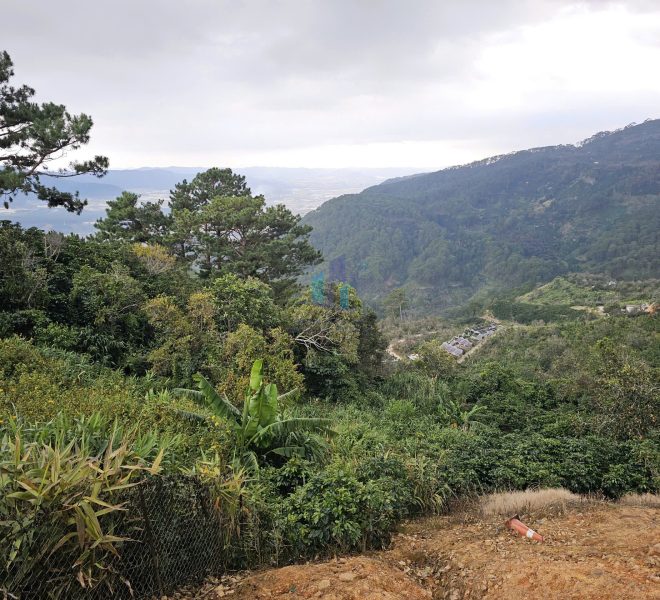 z7281376422696_2cc918e1da33c35f5efe6ae28f2a157a