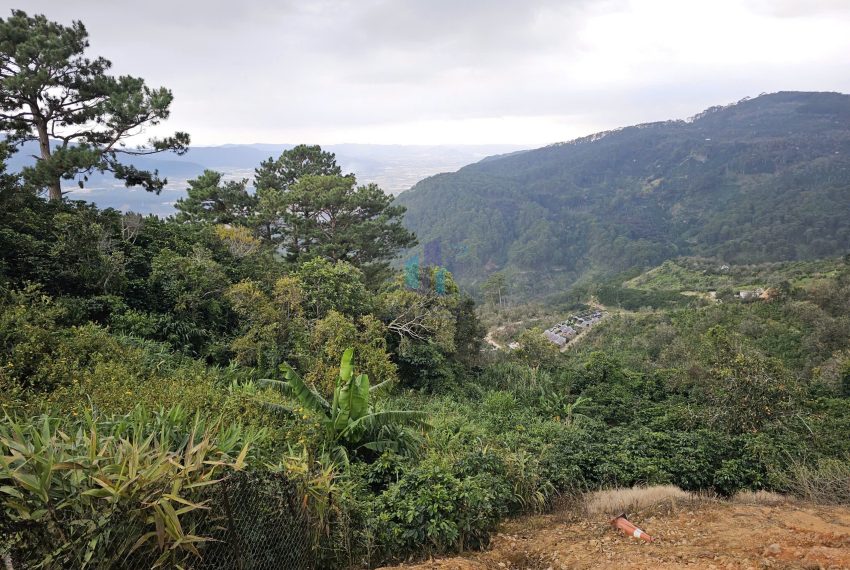 z7281376422696_2cc918e1da33c35f5efe6ae28f2a157a