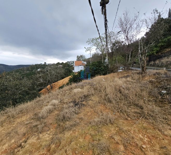 z7281376528013_e7414b6baf2fdc2b9d9ea27b6dddfbdd